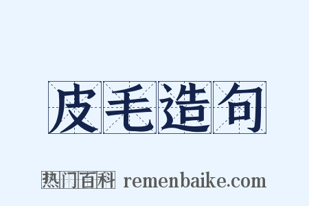 皮毛造句是什么意思的图片